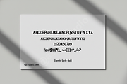 Carina Modern Luxury Serif Typeface, a Font by Astuti Studio (Thumbnail 2 of 16)