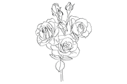 Bunch of Roses, an Object Graphic by VictoriaKStudio (Thumbnail 8 of 8)