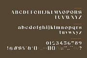 Abrelight | Modern Classic Serif, a Serif Font by Kahade Studio (Thumbnail 11 of 13)