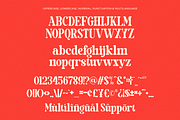 Goverda – Vintage Decorative Font, a Serif Font by Font Liner (Thumbnail 9 of 10)