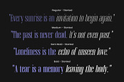 Brozeri - Casual Serif Family, a Serif Font by Arterfak Project (Thumbnail 9 of 14)