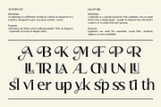 Callmira - Corporate Elegant Font, a Serif Font by roomspace creative lab (Thumbnail 9 of 11)