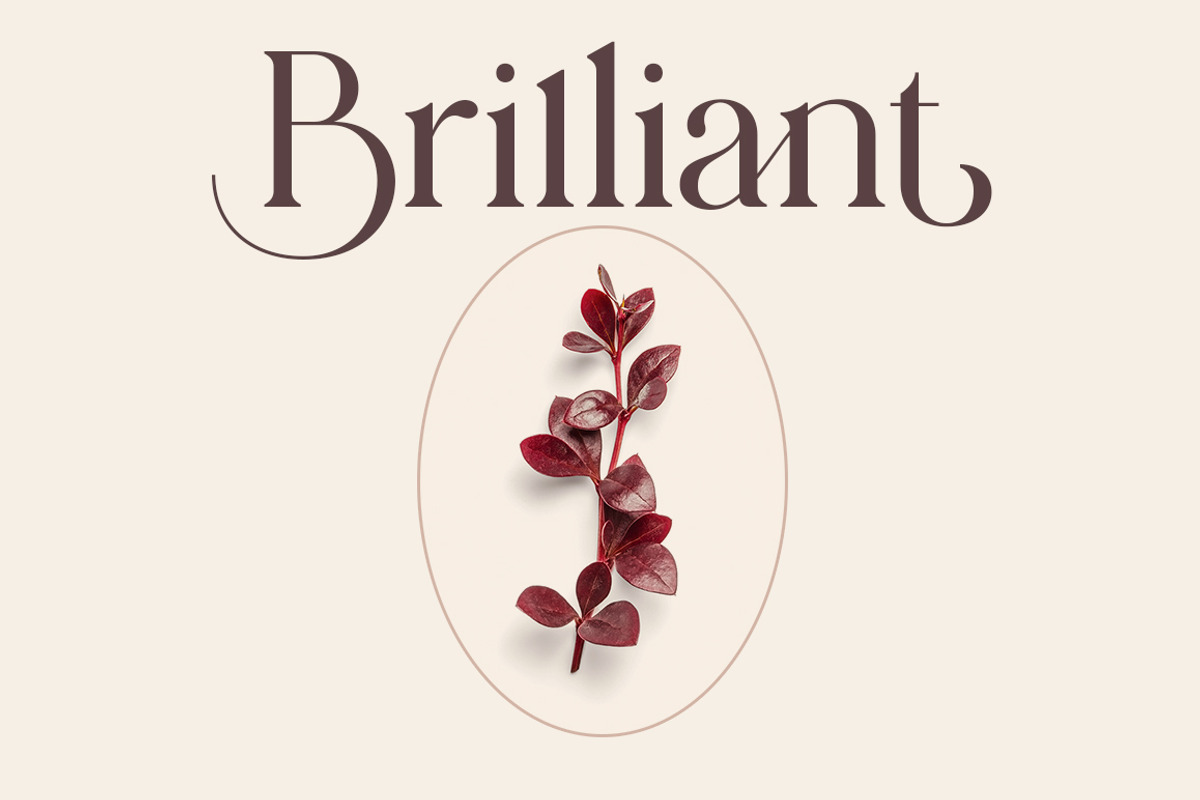 Hattori Elegant Font, a Serif Font by Zane Studio (Photo 3 of 13)