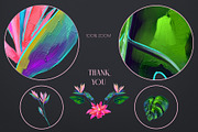Birds of Paradise graphics/patterns, a Pattern Graphic by Salted Galaxy (Thumbnail 14 of 14)
