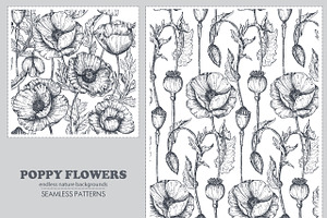 Vector Poppy Flowers Set