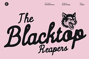 CS Dainty Drawn, a Script Font by Craft Supply Co. (Thumbnail 3 of 8)