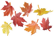3D Autumn Leaves, a Plants & Tree 3D Model by Hannet (Thumbnail 5 of 5)