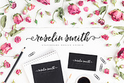 Indigo Summer Font Trio, a Script Font by Nicky Laatz (Thumbnail 13 of 21)
