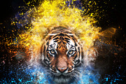 Smoke Manipulation Photoshop Action, an Action Add-On by MRI STUDIO (Thumbnail 4 of 18)