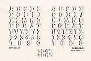 Show Pony Hand Drawn Western Font, a Slab Serif Font by Madeline ODonoghue Design (Thumbnail 3 of 10)
