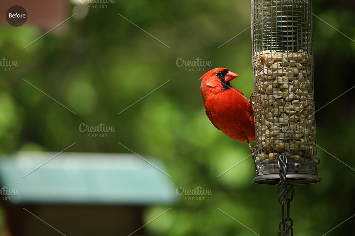 CHROME, a Preset Add-On by ProPreset (Photo 8 of 13)