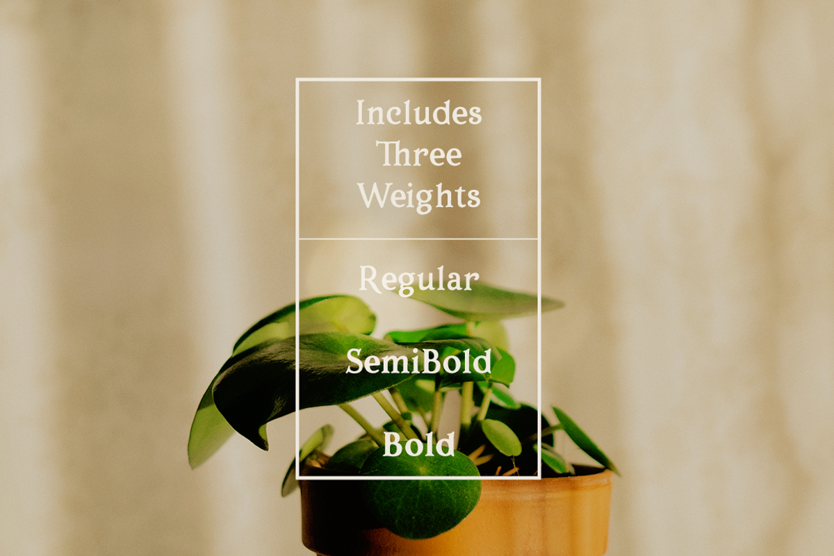 Porchlight classic serif font preview 3