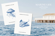 Vintage Marine Life Illustration Set, an Animal Illustration by NatalieArtShop (Thumbnail 5 of 20)