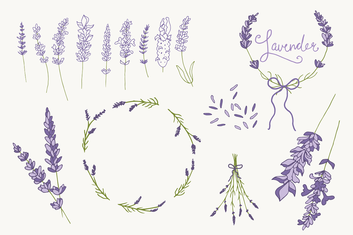 Lavender Clip Art & Vectors preview 4