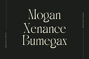 Barox - Display Serif, a Serif Font by Nirmana Visual (Thumbnail 2 of 11)