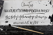 Roamfest Brush Script Font, a Font by Creativeqube Design (Thumbnail 2 of 3)