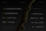 GC Volumn - Elegant Serif Typeface, a Serif Font by Glyphonic (Thumbnail 4 of 15)
