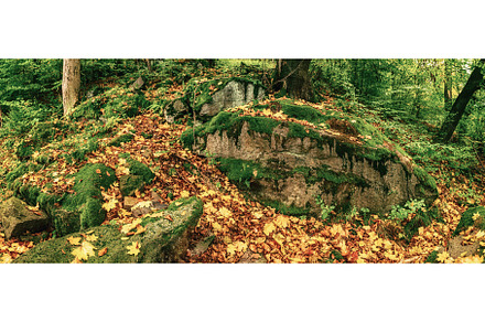 Beautiful autumn landscape, a Nature Photo by Nature and travel
