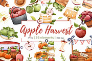 Watercolor Apple Clipart PNG Set (36, a Food Illustration by Mespilia (Thumbnail 1 of 5)