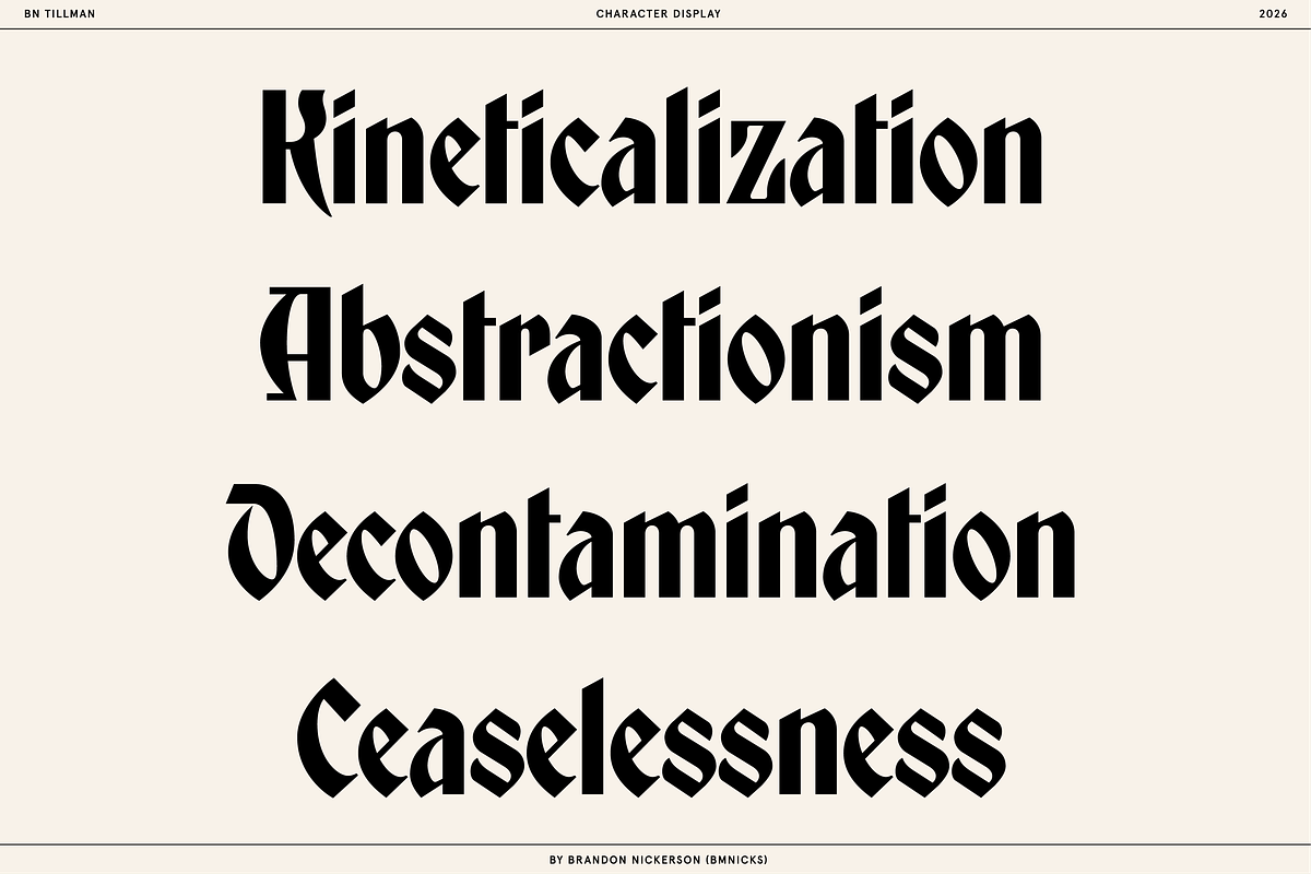 BN Tillman Gothic Display Typeface, a Serif Font by Bnick (Photo 4 of 12)