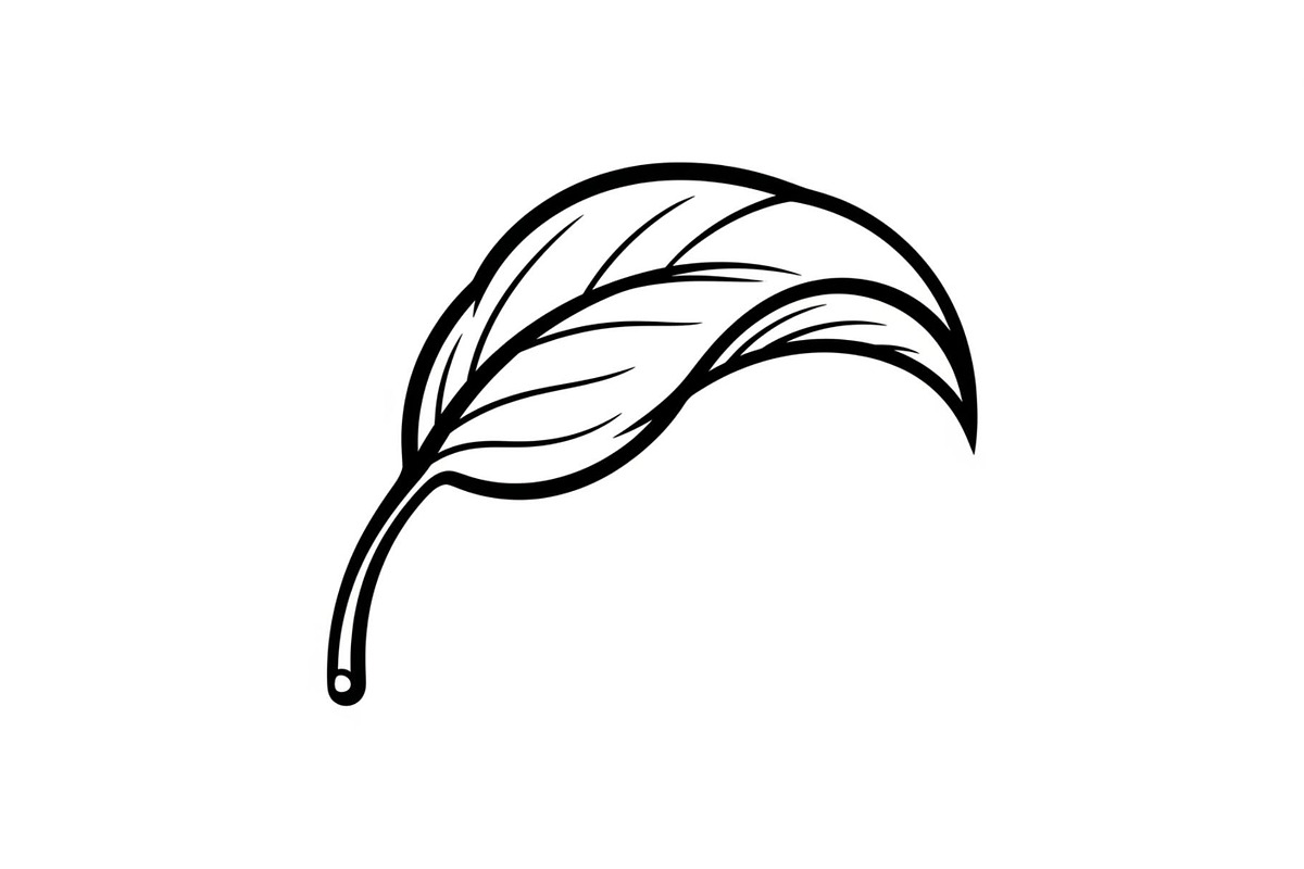 Hand Drawn Leaf Line Art Bundle, an Illustration by hafijul (Photo 21 of 51)