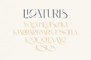 BLOSTA Font Duo//Serif & Script, a Serif Font by Alcode (Thumbnail 5 of 23)