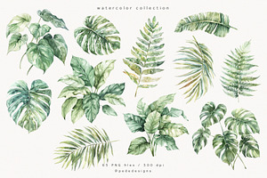 Watercolor Tropical Plants