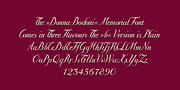 Donna Bondoni, a Script Font by Wiescher-Design (Thumbnail 4 of 5)