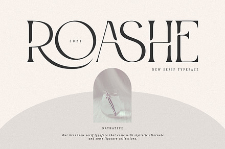 Roashe-Serif Font Family (Updated)
