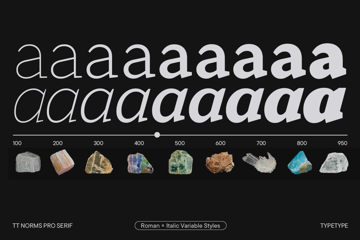 TT Norms Pro Serif, a Serif Font by TypeType (Photo 8 of 15)