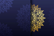 560+ Mandala Design Mega Collection, a Decorative Illustration by NJ Himel (Thumbnail 243 of 289)