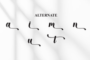 Manchester | Script Font, a Handwritten Font by Scratchones (Thumbnail 8 of 9)