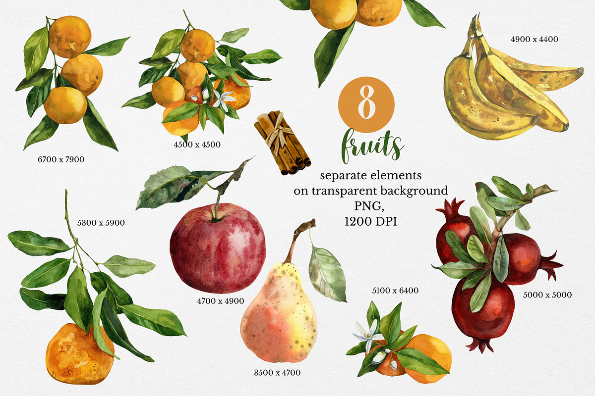 Organic Food: Watercolor Vegetables, a Food Illustration by Artcard Watercolor (Photo 5 of 17)