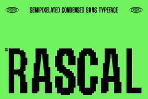 CS Rascal Semipixel