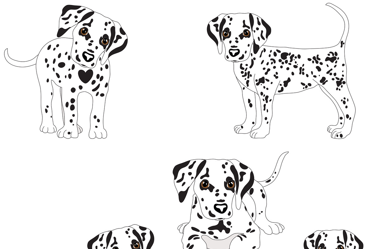 Dalmatian, an Animal Illustration by Orangepencil (Photo 4 of 7)