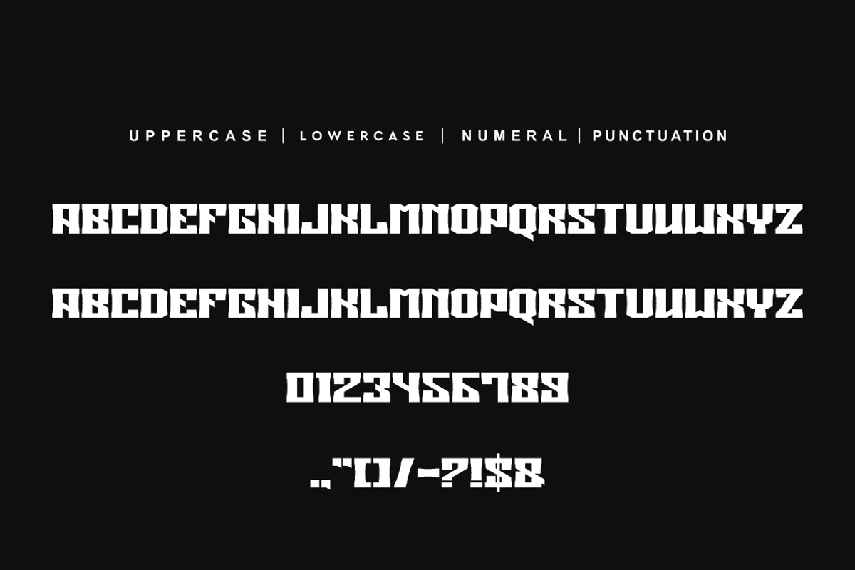 Dozer Signoz, a Serif Font by alon kelakon (Photo 5 of 6)