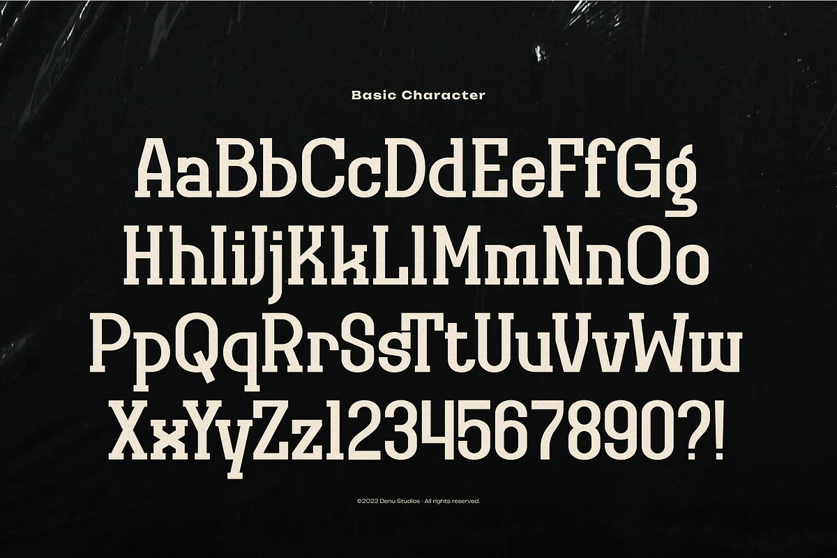 Original Regional | Display Font, a Slab Serif Font by Denustudios (Photo 10 of 12)
