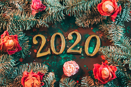 happy new year frame fir tree rose, a Holiday Photo by Photo Drive Studio