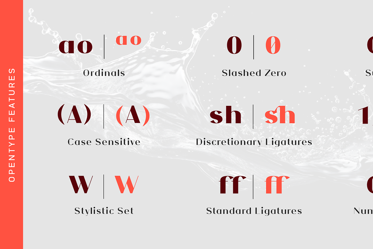 NF Elena Font, a Sans Serif Font by NicolassFonts (Photo 5 of 5)