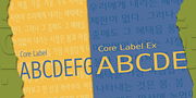 Core Label, a Sans Serif Font by S-Core (Thumbnail 4 of 6)