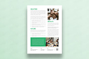 Case Study, a Brochure Template by DesignDevisers (Thumbnail 4 of 10)