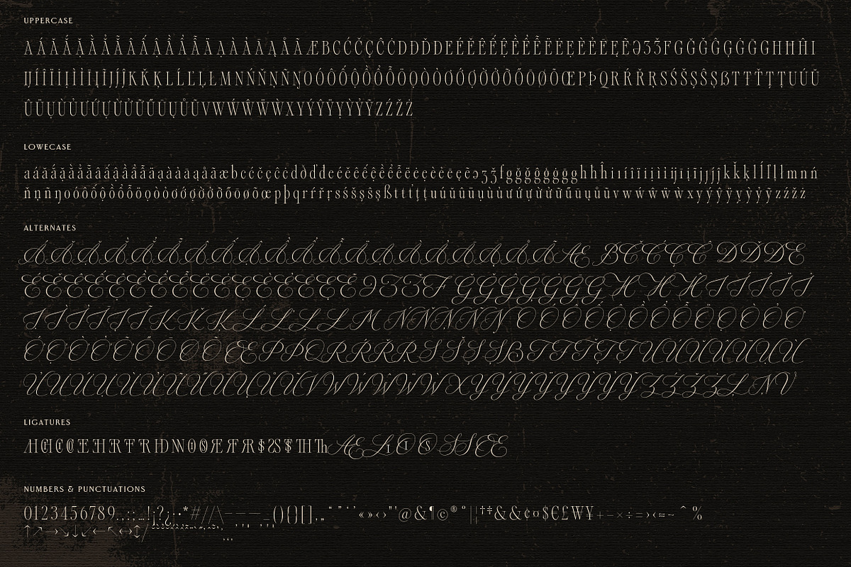 Alizee - Classy Hybrid Serif, a Serif Font by Harmonais Visual (Photo 29 of 29)