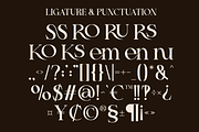 Prole Derose Font, a Serif Font by Marvadesign (Thumbnail 5 of 7)