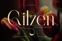 Glizen Elegant Serif Font