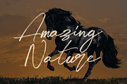 Midnight Brush & SVG Font, a Script Font by Cruzine (Thumbnail 8 of 19)
