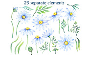 Delicate daisies, a Decorative Illustration by EshaStudio (Thumbnail 2 of 9)