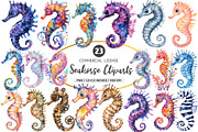 Seahorse Watercolor Clipart PNG, an Illustration by SinaCreation (Thumbnail 1 of 5)