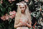 3 tropical-summer presets, a Plug-in Add-On by studio25 (Thumbnail 5 of 7)