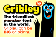 Sale! Gribley Font Family!, a Sans Serif Font by Haäfe & Haph (Thumbnail 1 of 5)