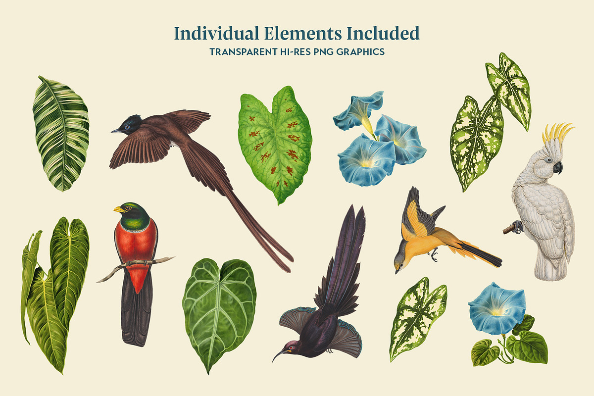 Exotic Birds - Vintage Pattern, a Pattern Graphic by Graphic Goods (Photo 7 of 9)
